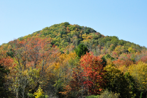 fall colors in Banner Elk